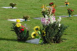 Un lugar de descanso en el Cementerio